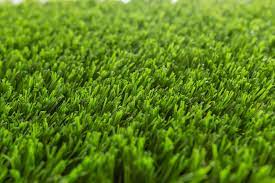 Turf"