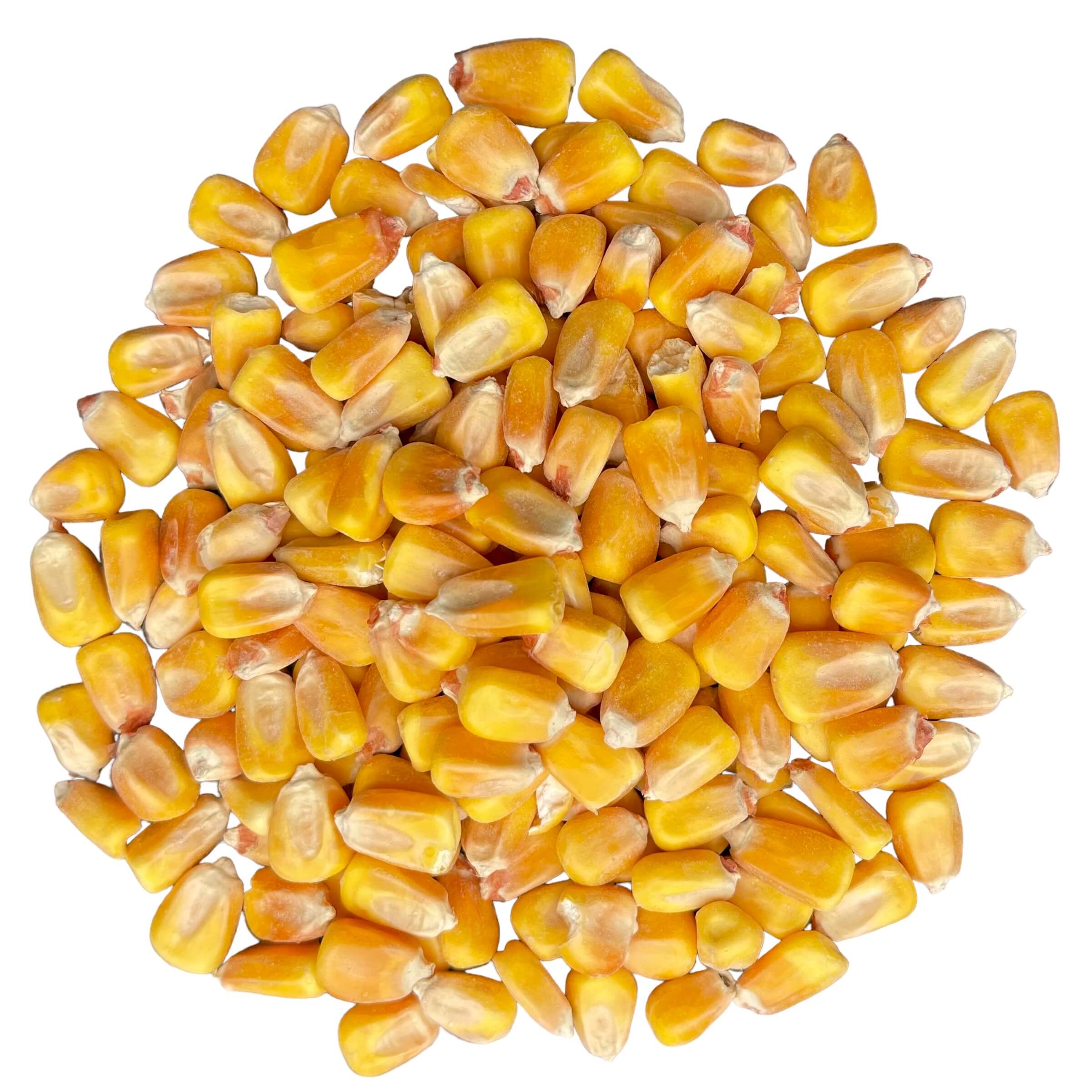 Seed grains